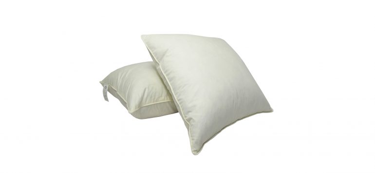 Feather Cushion Decorative Cushion